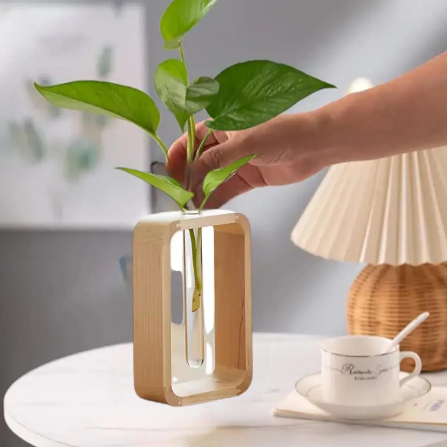 Small Wooden Table Flower Vase with Borosilicate Glass Propagation Decor Plant Holder