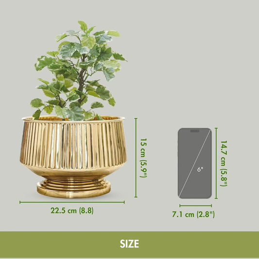 Gold decorative pot with a plant, showing dimensions