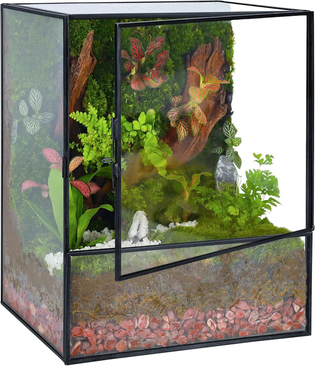 Glass Terrarium Planter with Front Opening Door-ArtyCraftz.com