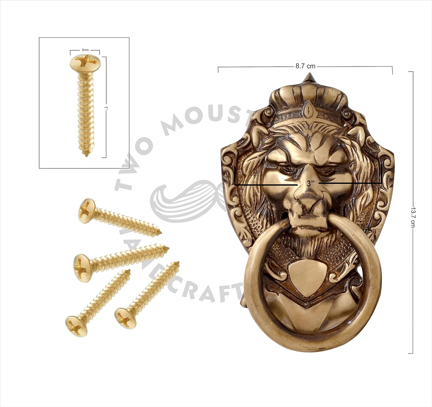 Decorative brass lion head door knocker with screws on a white background