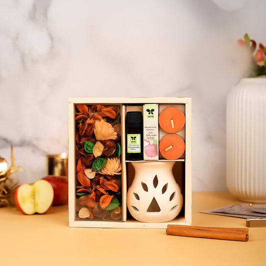 Apple cinnamon aroma vaporizer gift set with potpourri, fragrance oil and tealights-artycraftz.com