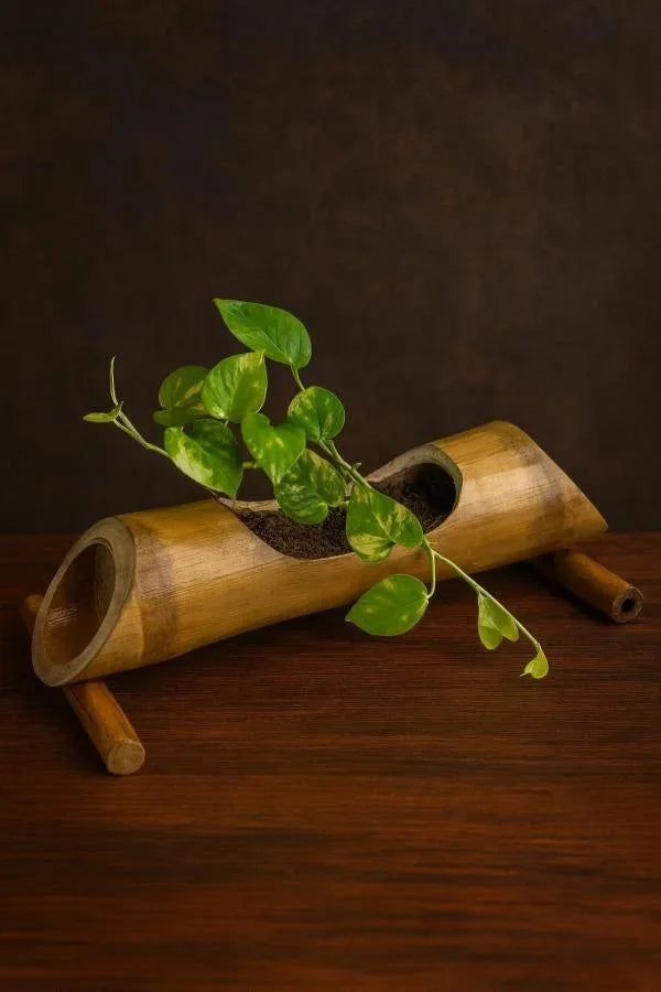 Eco-friendly Bamboo Table Planter