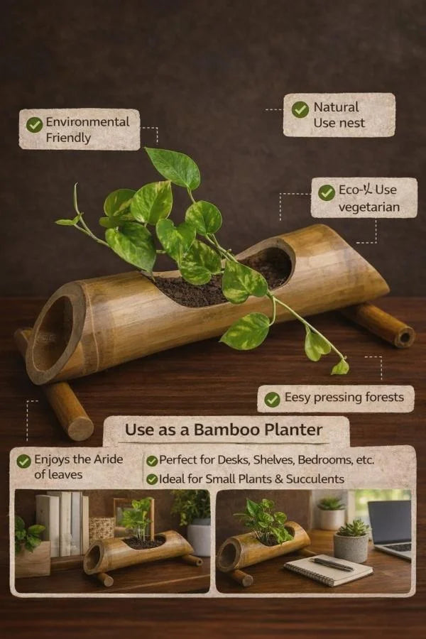 Eco-friendly Bamboo Table Planter with all details