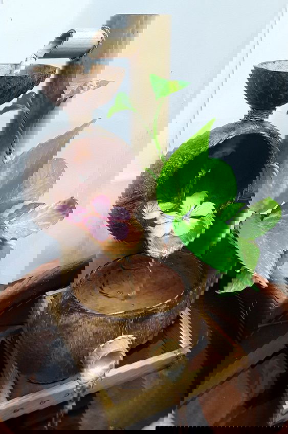 Bamboo and coconut bowl water fountain - ArtyCraftz.com