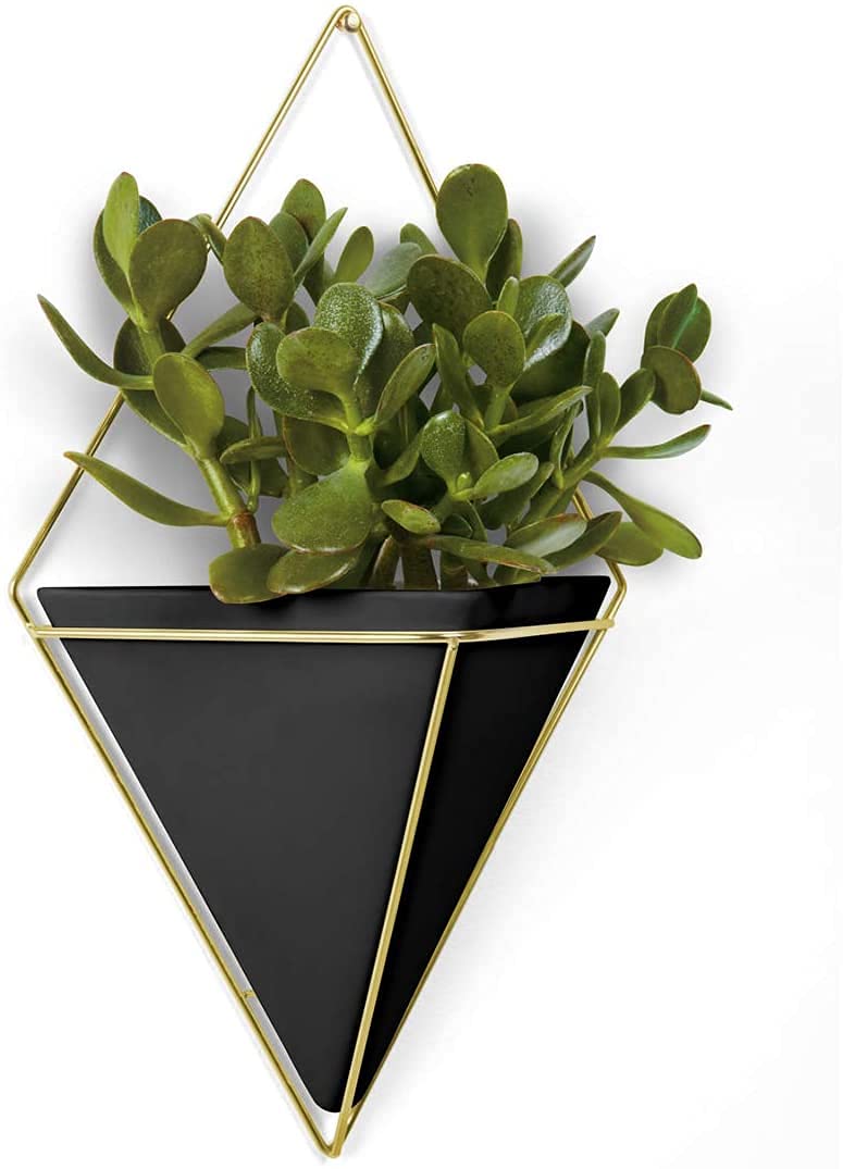 Black and gold iron geometric hanging planter for indoor plants-ArtyCraftz.com