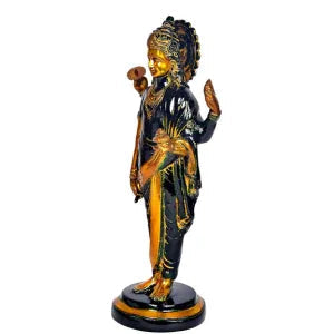 Brass Lord Dhanvantari