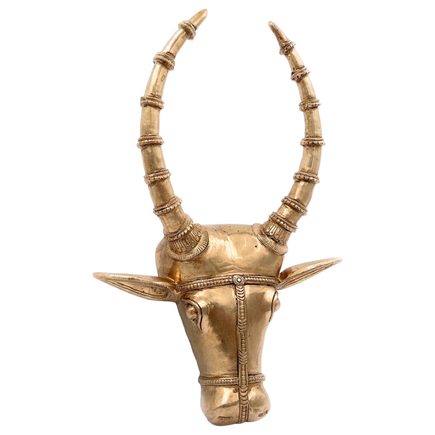 Bronze Bull Face Wall Hanging-ArtyCraftz.com