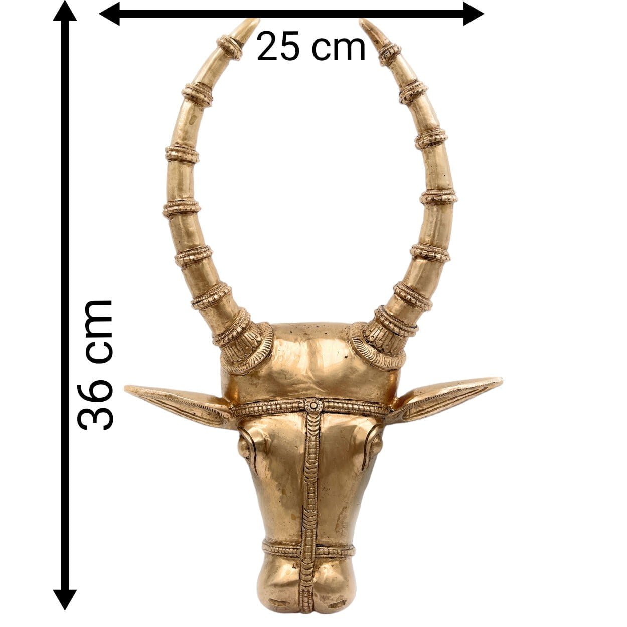 Bronze Bull Face Wall Hanging-ArtyCraftz.com