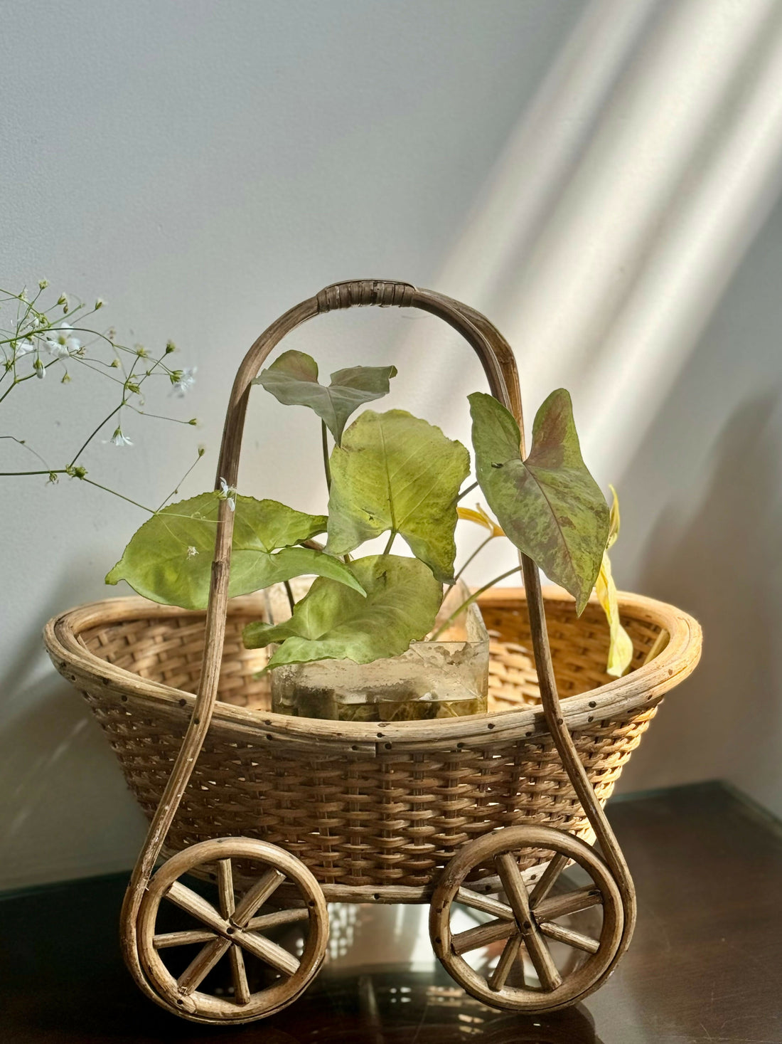 Cane Basket with Wheels