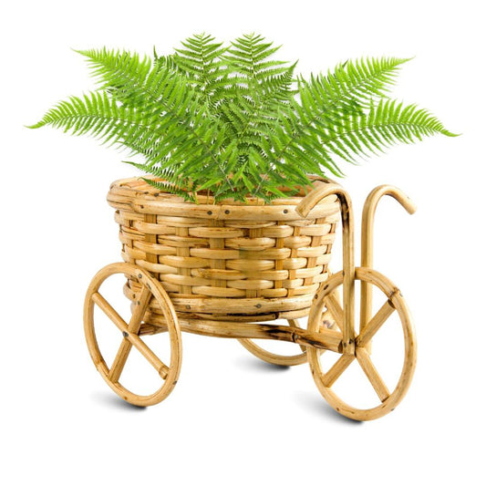 Table Top Cane Rickshaw Basket-ArtyCraftz.com