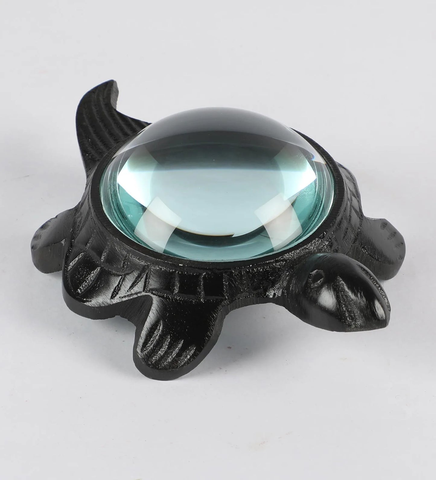 Decorative Turtle Magnifying Glass Showpiece-ArtyCraftz.com