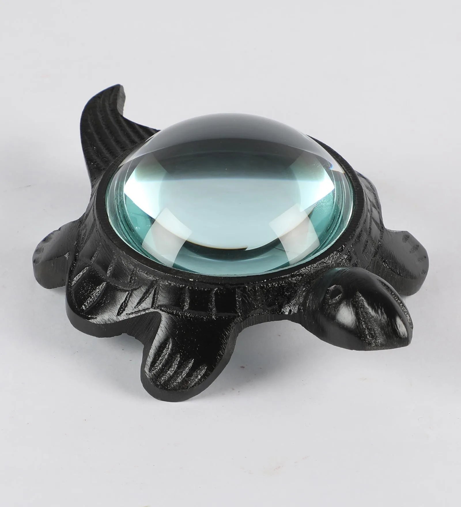 Decorative Turtle Magnifying Glass Showpiece-ArtyCraftz.com
