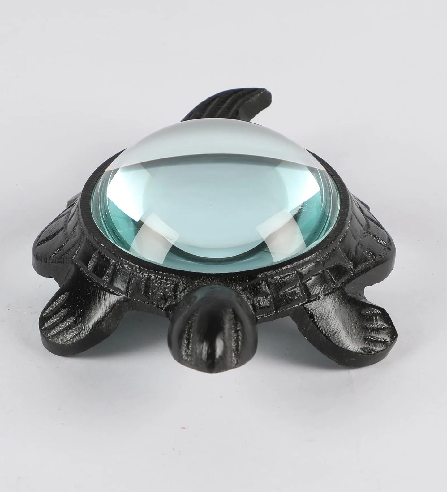 Decorative Turtle Magnifying Glass Showpiece-ArtyCraftz.com