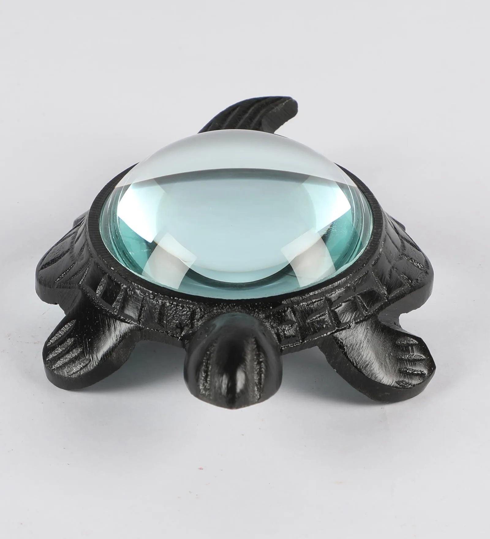 Decorative Turtle Magnifying Glass Showpiece-ArtyCraftz.com