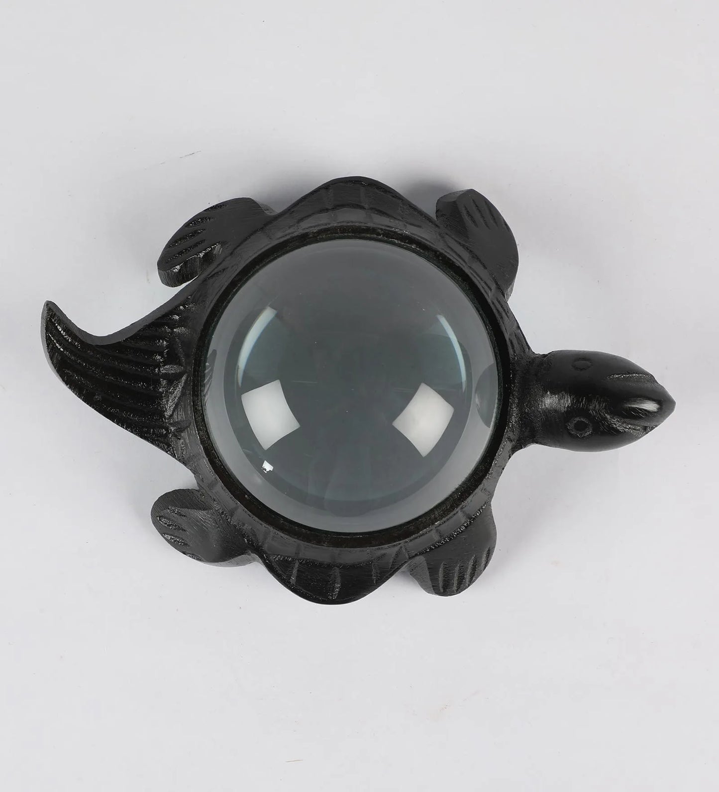 Decorative Turtle Magnifying Glass Showpiece-ArtyCraftz.com