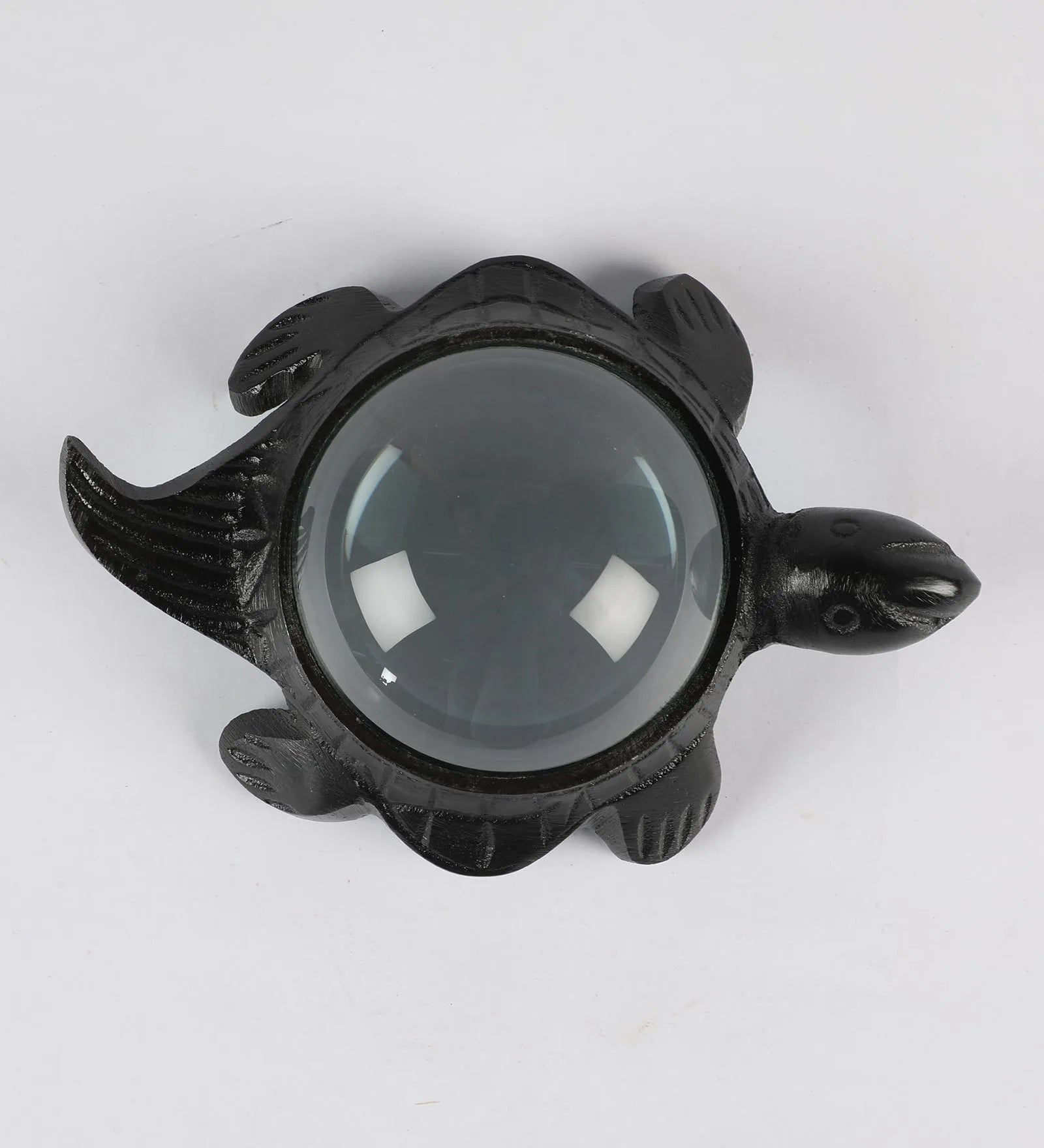 Decorative Turtle Magnifying Glass Showpiece-ArtyCraftz.com