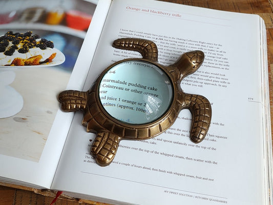 Decorative Turtle Magnifying Glass Showpiece in Aluminum-ArtyCraftz.com