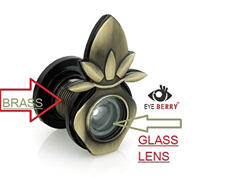 Exquisite Brass Leaf-Shaped Door Lens-ArtyCraftz.com