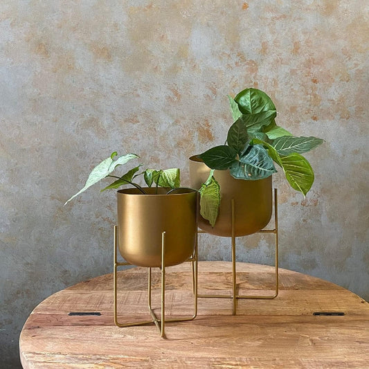 Gold and Stylish Tall  Iron Planter with Stand -ArtyCraftz.com