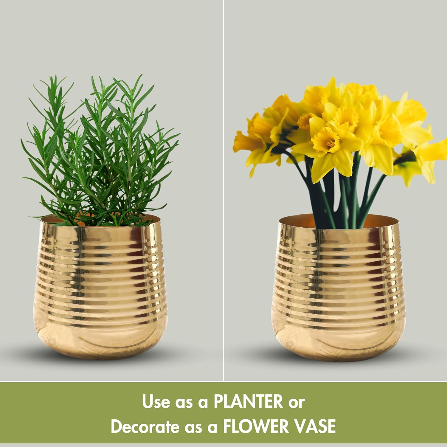 Golden Ribbed Iron Planter Pot-ArtyCraftz.com