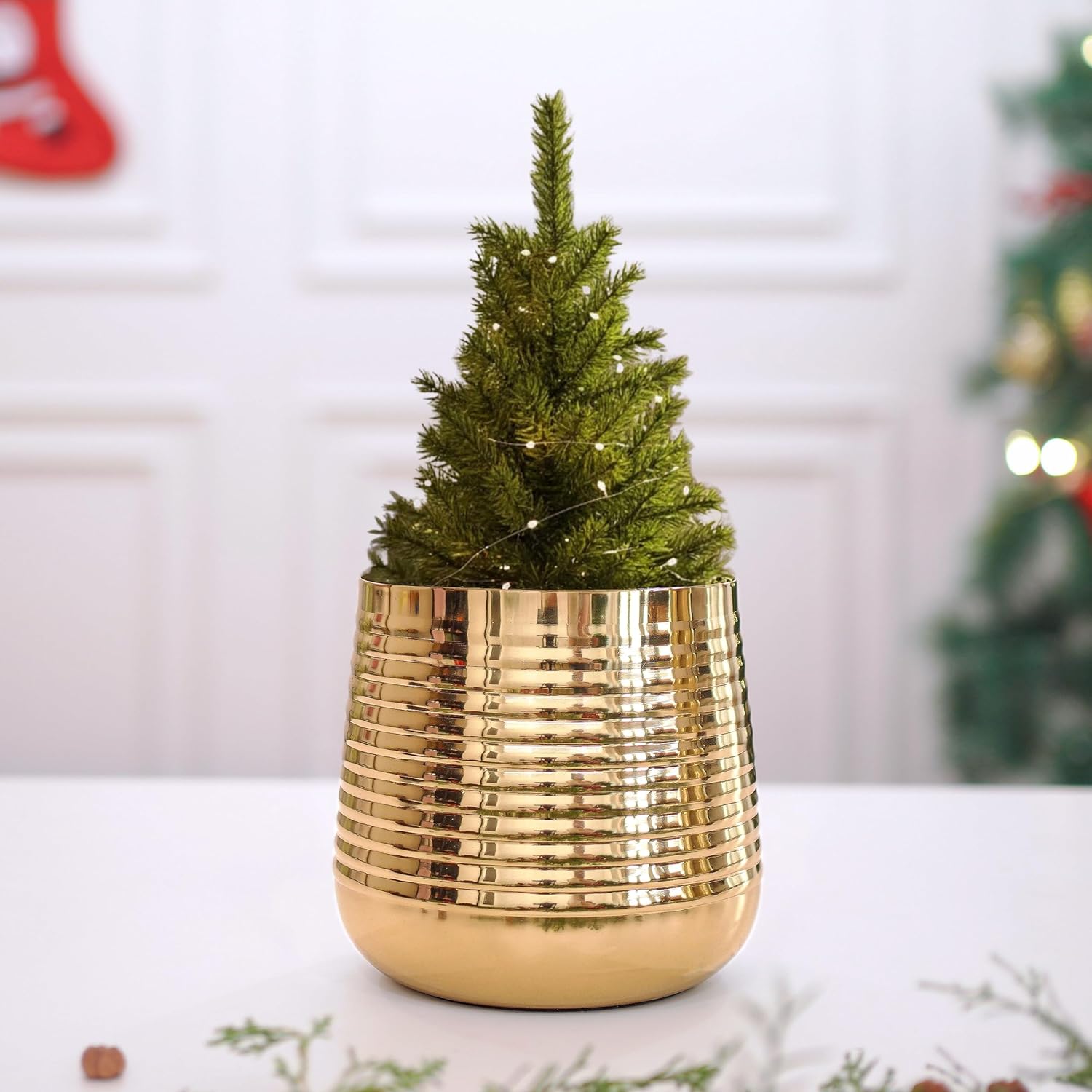 Golden Ribbed Iron Planter Pot-ArtyCraftz.com