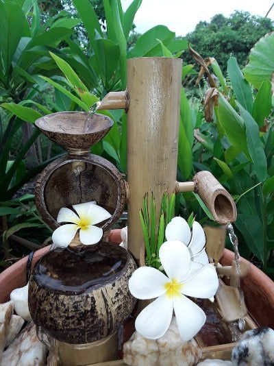 Handmade Coconut shell & Bamboo Mini Fountain - ArtyCraftz.com