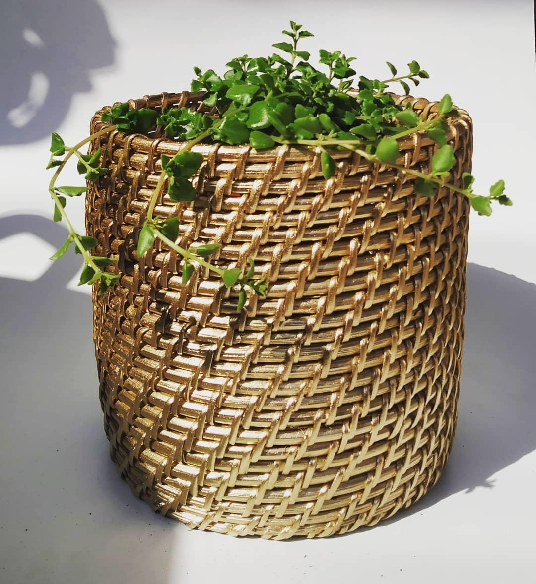 Handwoven Cane Planter Round-ArtyCraftz.com