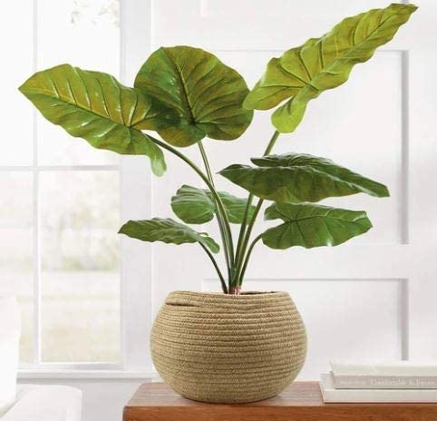 Handwoven Natural Jute Planter-ArtyCraftz.com