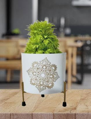 Iron Printed Pot with Golden Stand for Indoor and Outdoor Decor White Color - ArtyCraftz.com