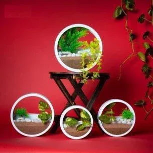 Iron Round Hanging Decorative Plant Holder for Indoor and Outdoor White Color - ArtyCraftz.com