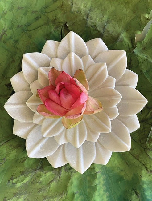 White ceramic flower with a pink center on a green leaf background