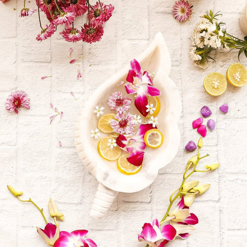 Decorative arrangement with flowers and lemon slices in a shell on a light background