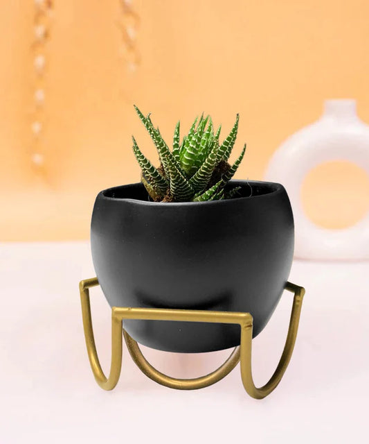 Metal Apple Miniature Planter with Stand