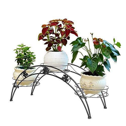 Metal Arch Plant Rack Organizer Flower Pot Plant Stand with Holder (Black, Large) - ArtyCraftz.com