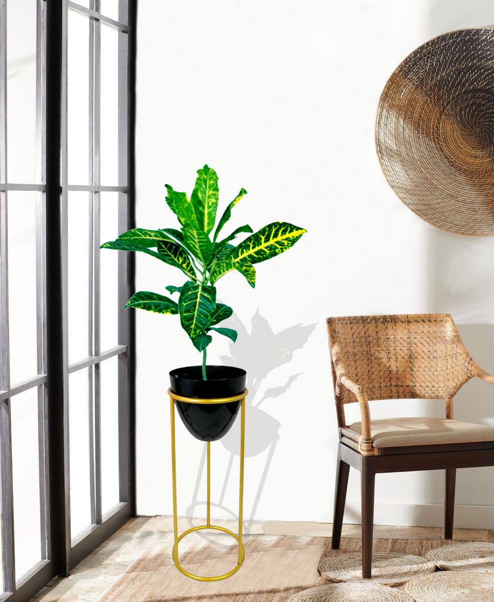 Metal Egg Shape Plant Holder with Stand-ArtyCraftz.com