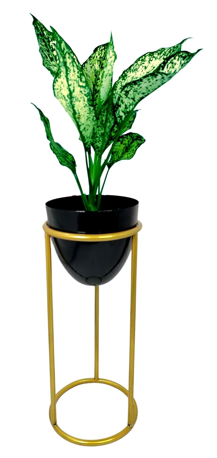 Metal Egg Shape Plant Holder with Stand-ArtyCraftz.com