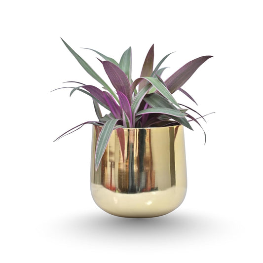 Modern Gold Metal Planter Pot for Indoor Plants-artycraftz.com