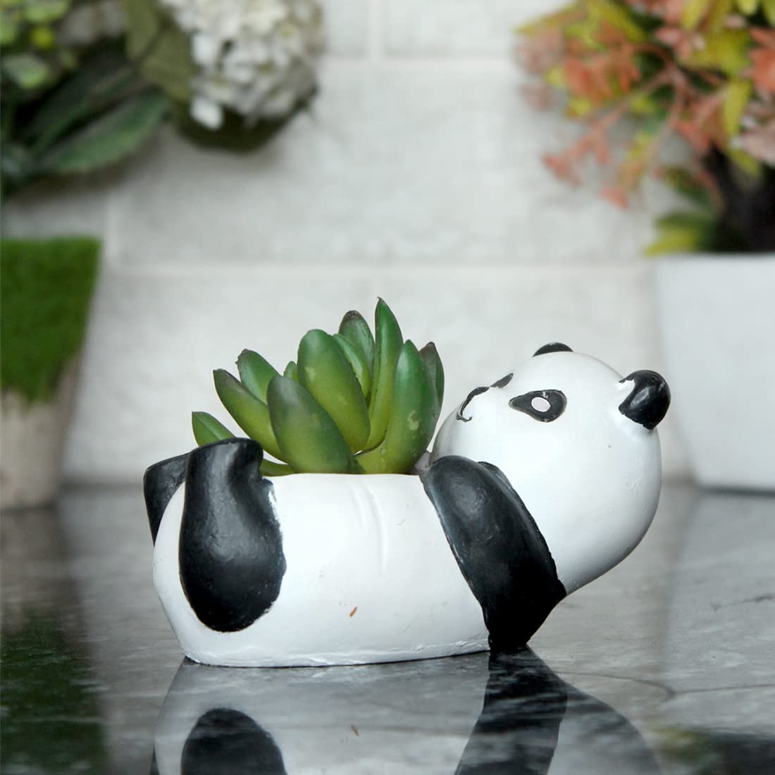 Panda Succulent Planter-ArtyCraftz.com