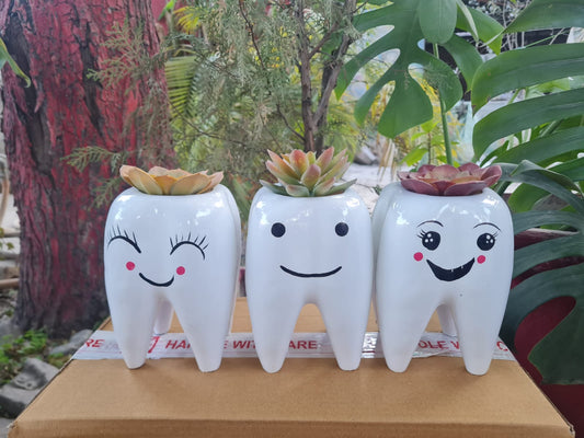 Polyresin Smiling Tooth Shaped Planter