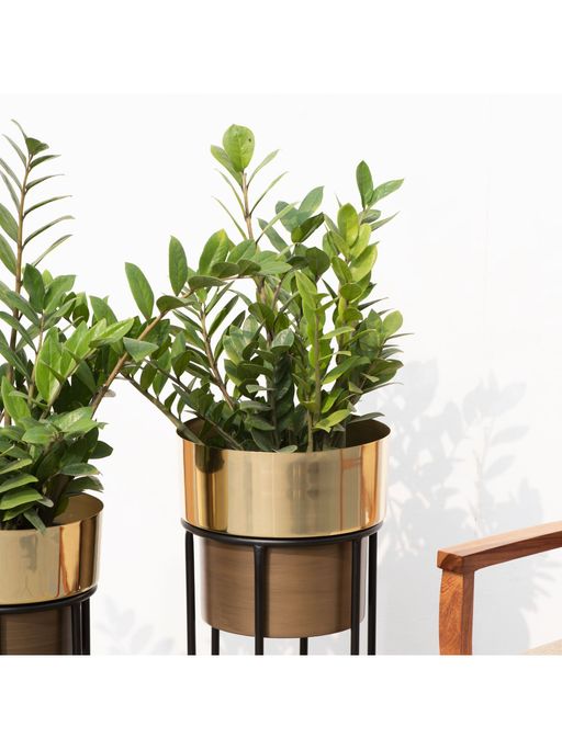 The Decor Remedy Dual Tone Planter (Set of 2) - ArtyCraftz.com