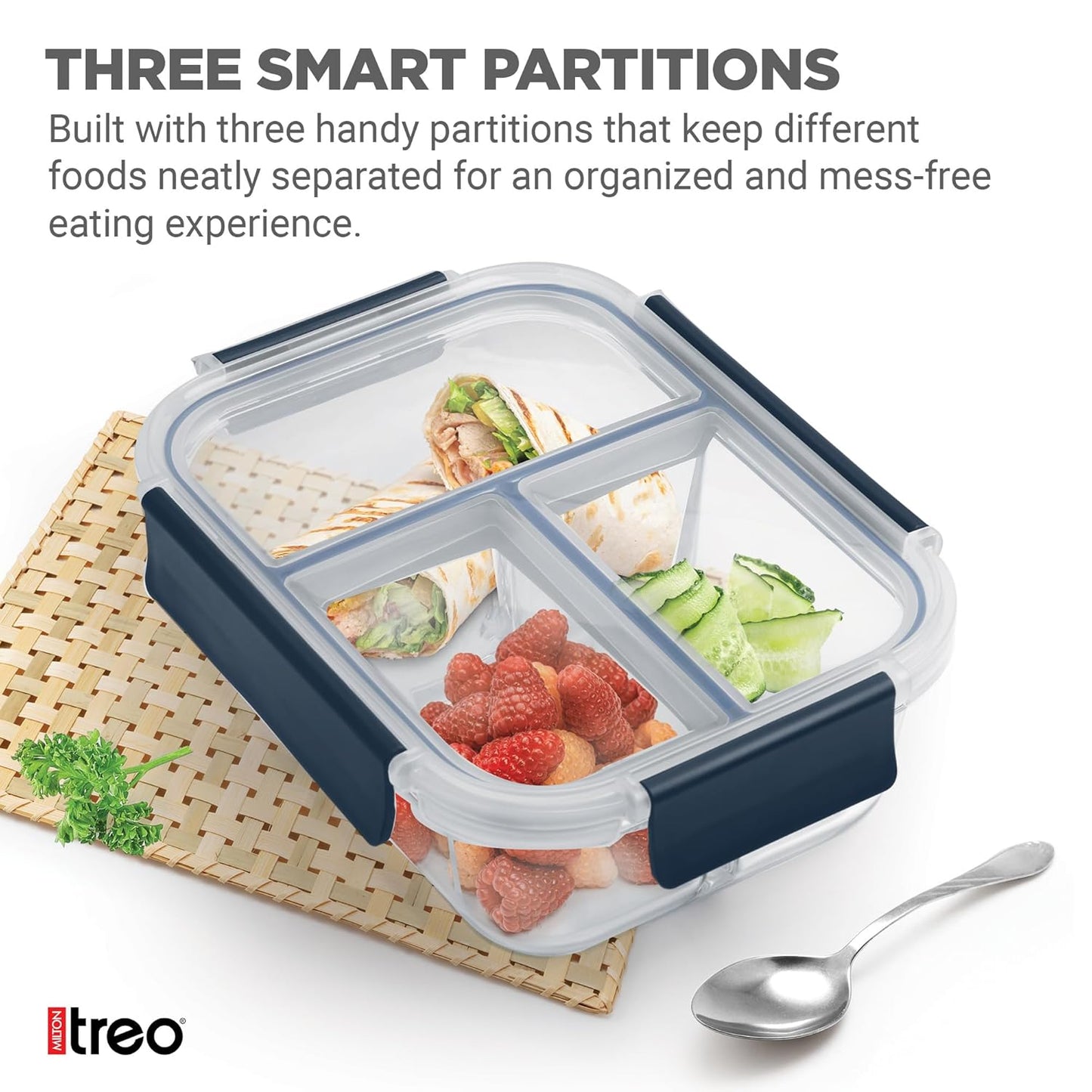 Treo All Fresh Divider Lunch Box-ArtyCraftz.com