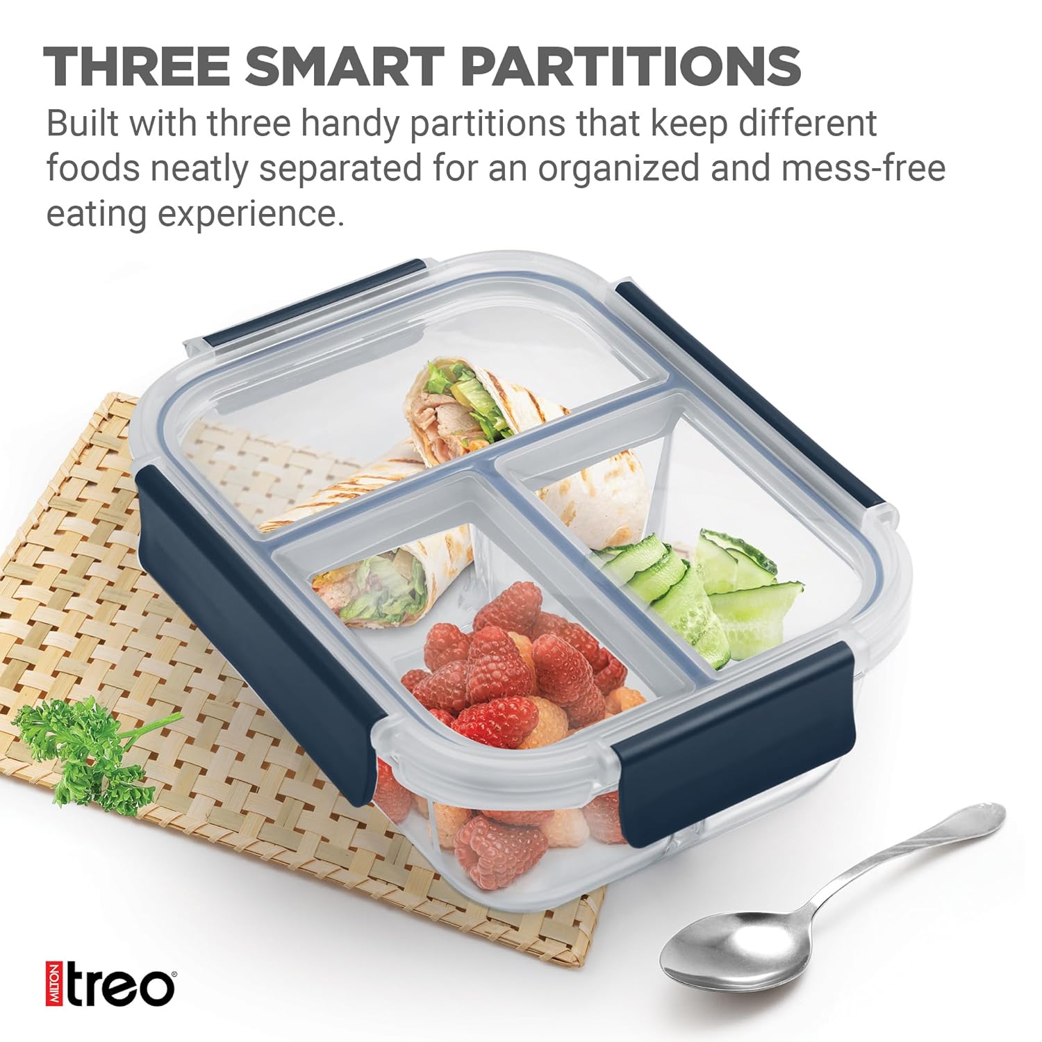 Treo All Fresh Divider Lunch Box-ArtyCraftz.com