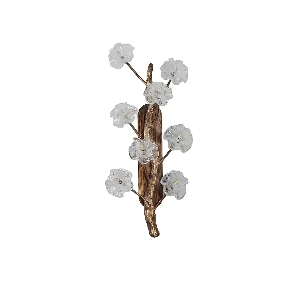 KEPLER 8 LED Wall Light In Antique Brass Finish With Clear Glass-ArtyCraftz.com