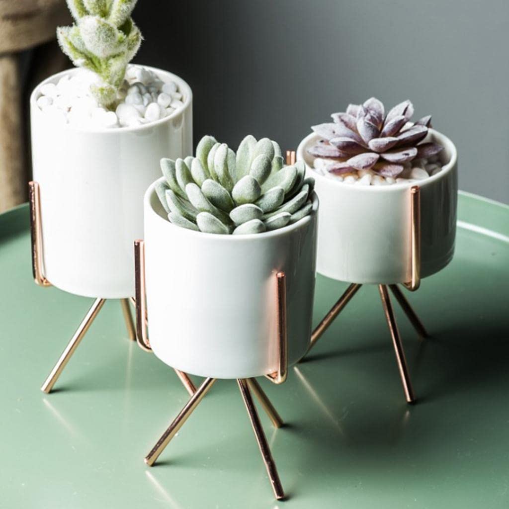White ceramic tabletop planter with gold metal tripod stand-ArtyCraftz.com