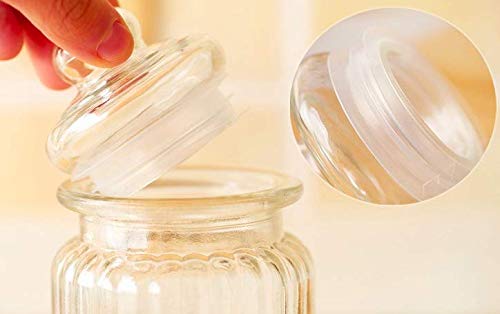 Glass Ribbed Canister with Lid - ArtyCraftz