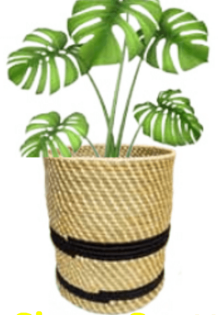 Handmade Sabai Grass Pot Planter 12 X 20 Inches - ArtyCraftz