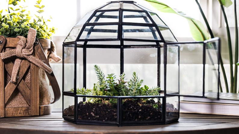 Igloo Glass Terrarium Planter with Metal Frame-ArtyCraftz.com