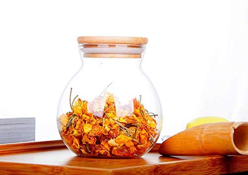 Matka Shape Glass Container with Wooden Lid - ArtyCraftz