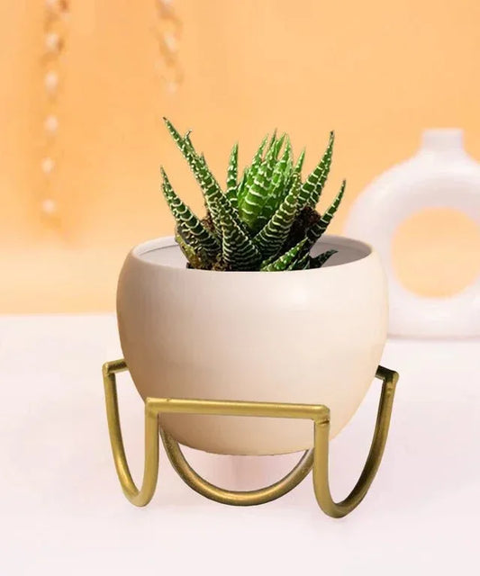 Metal Apple Miniature Planter with Stand - ArtyCraftz