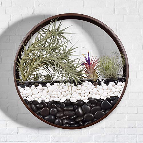Metal Round Wall Planter - ArtyCraftz